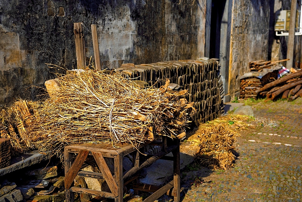 Bundle of dried rapeseed stalks at a village home in ShiTing Village, Huangshan City, Anhui, China. The stalks are used as firewood.