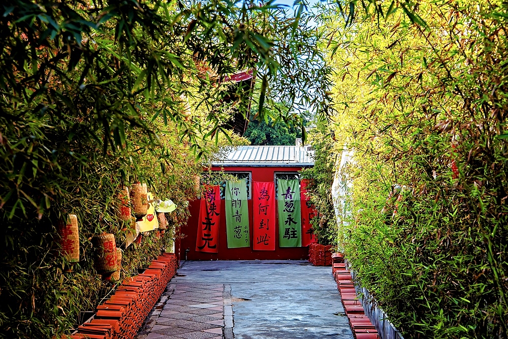 Bamboo garden in Kaiyuan Temple, Chaozhou City, Guangdong Province, China. First established in 738A.D., most structures of the temple still preserves the original appearance and contain several national treasures.