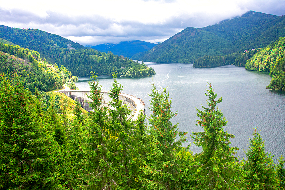 beautiful lake surrounded by green fir trees