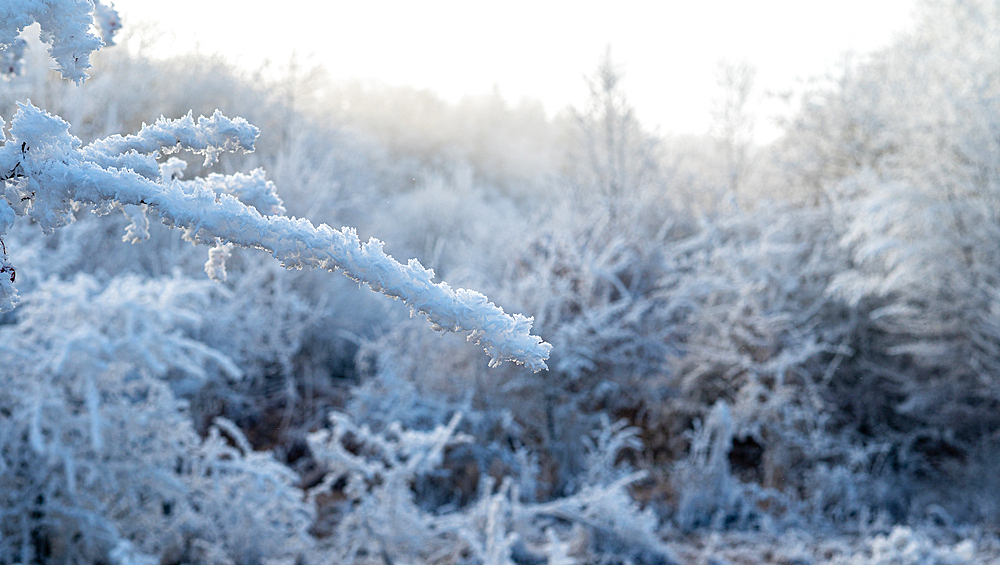 Winter landscape. Frost morning in mountains.