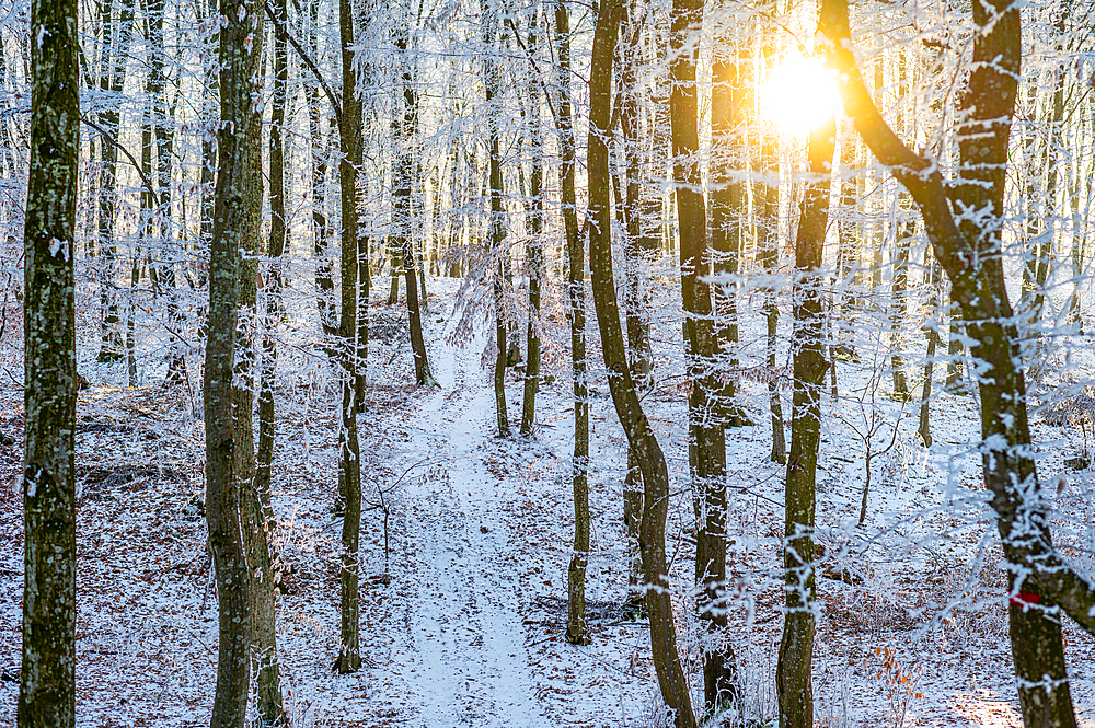 Winter landscape. Frost morning in mountains.