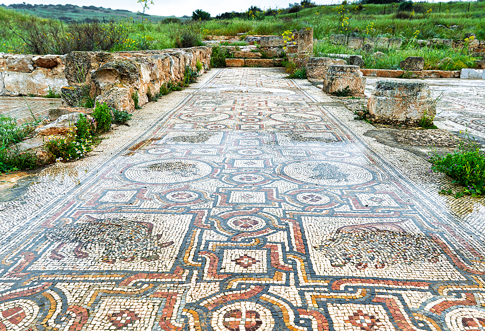 Beautiful ancient mosaic floor with geometric patterns and floral motifs, surrounded by stone ruins medieval church in Israel in a grassy archaeological site.