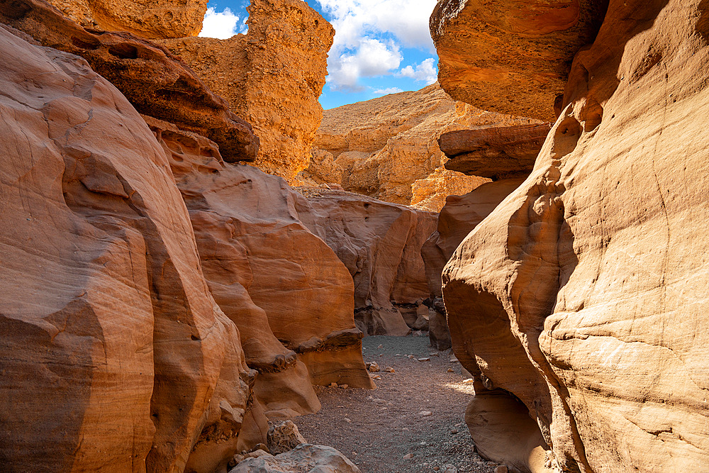 Amazing labyrinths in the gorge of the red canyon in Eilat, israel carved by water flows in the red sandstone rocks