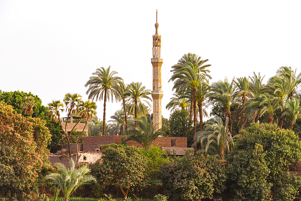 Minaret and palm trees on banks of Nile River, Egypt