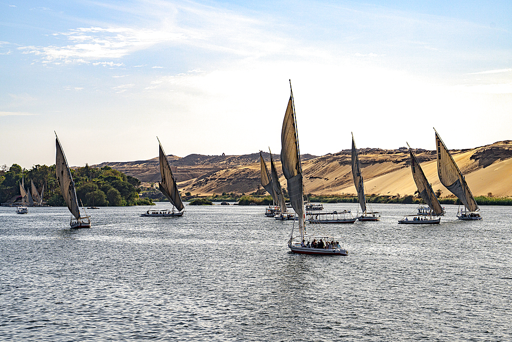 Traditional Felucca boats on the Nile River, Egypt