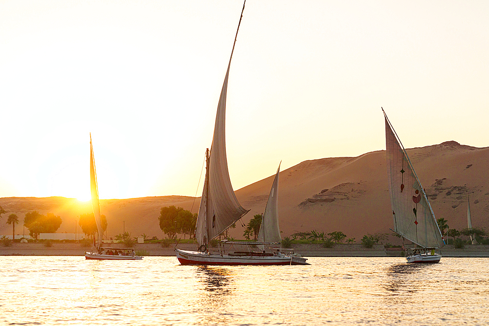 Felucca boats sailing in Nile River at sunset, Aswan, Egypt
