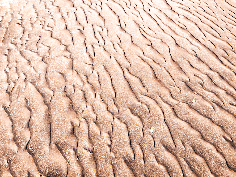 Rippled desert sand at sunrise, aerial view, Campo de Piedra Pomez, El Penon, Catamarca, Argentina