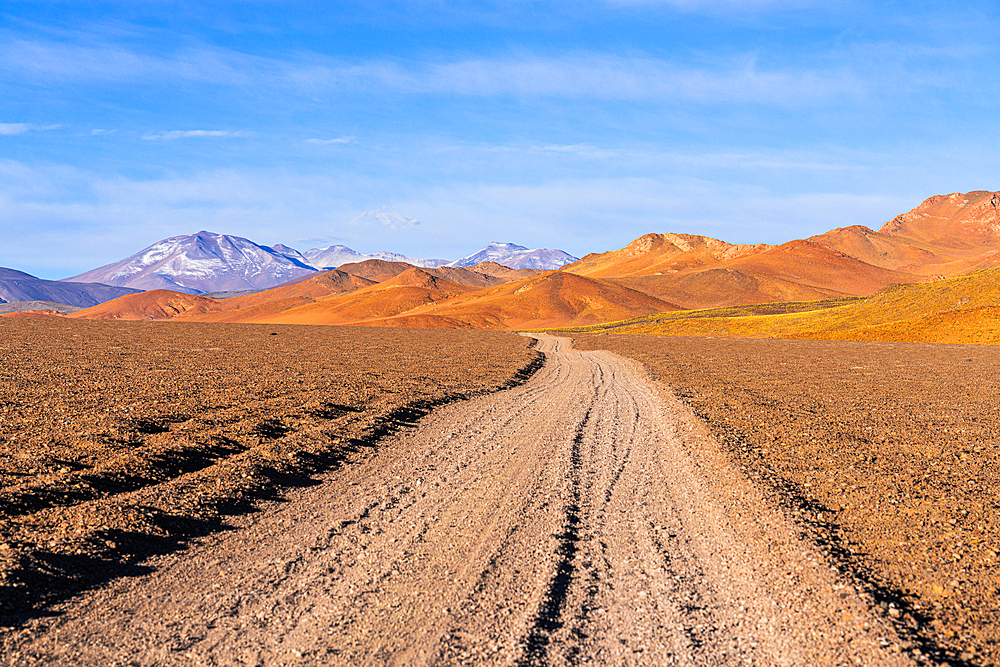 Dirt road in the arid highlands, Puna, Argentina