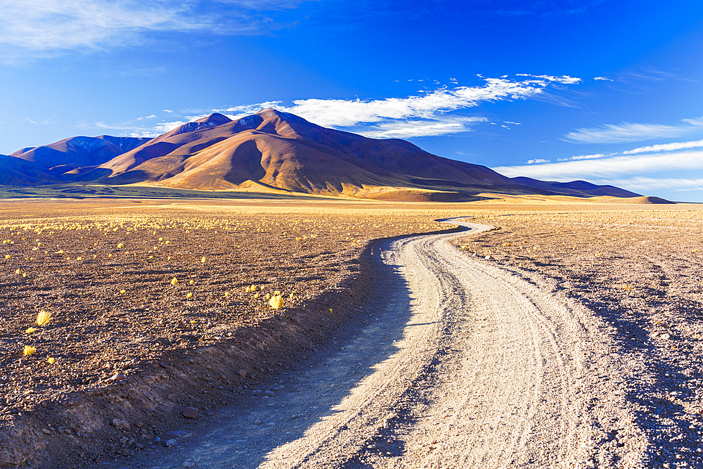 Winding track across the Andean altiplano, Puna, Argentina