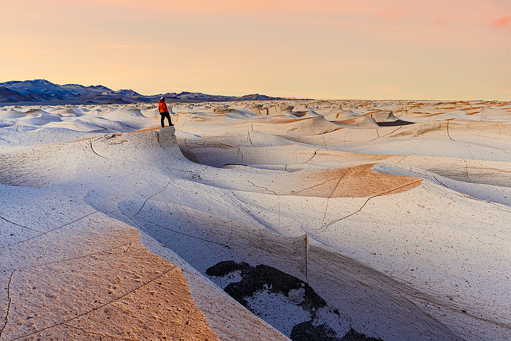 Man looking at volcanic landscape, Campo de Piedra Pomez, El Penon, Puna, Catamarca, Argentina. (MR)
