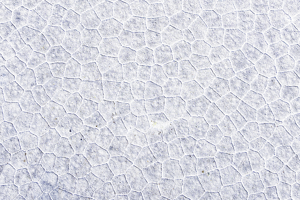 Cracked salt surface, Salinas Grandes, Jujuy, Argentina