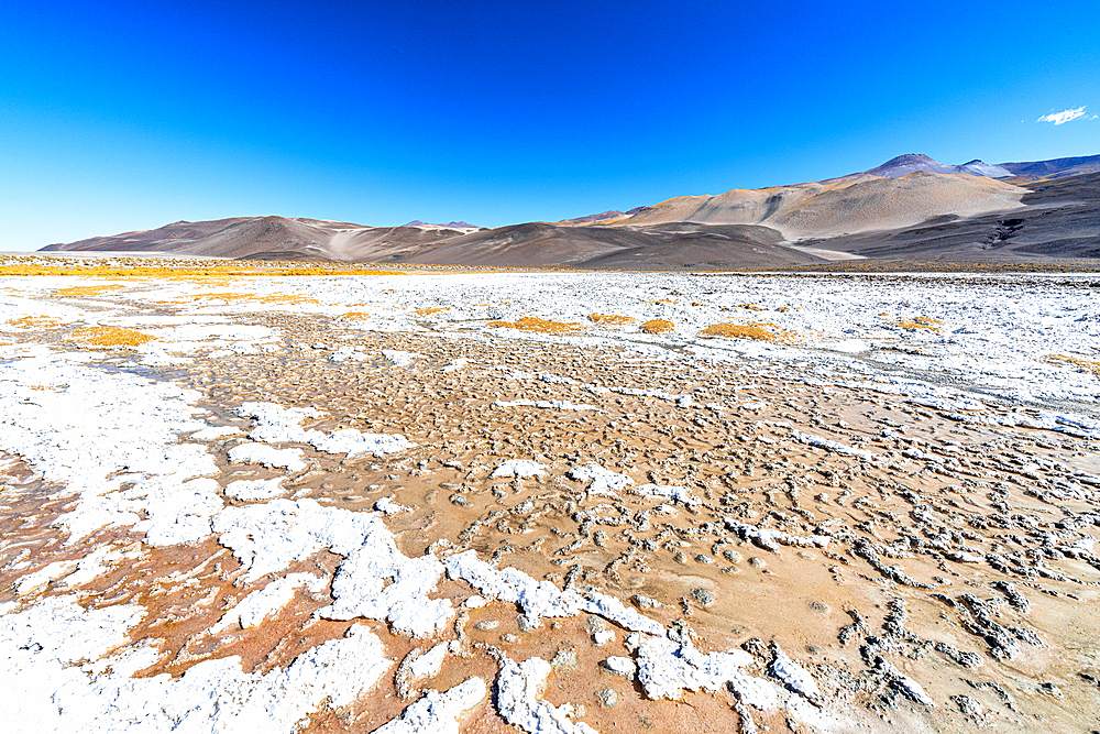 Cracked desert terrain, Salar de Antofalla, Puna, Catamarca, Argentina