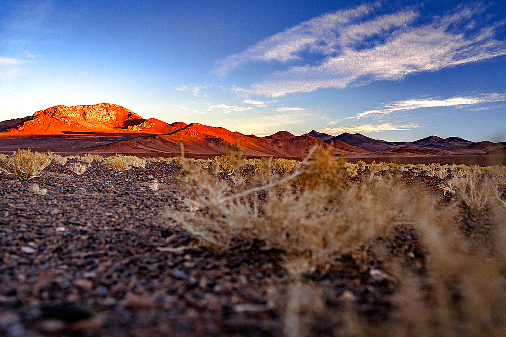 High desert landscape of the Puna region, Argentina