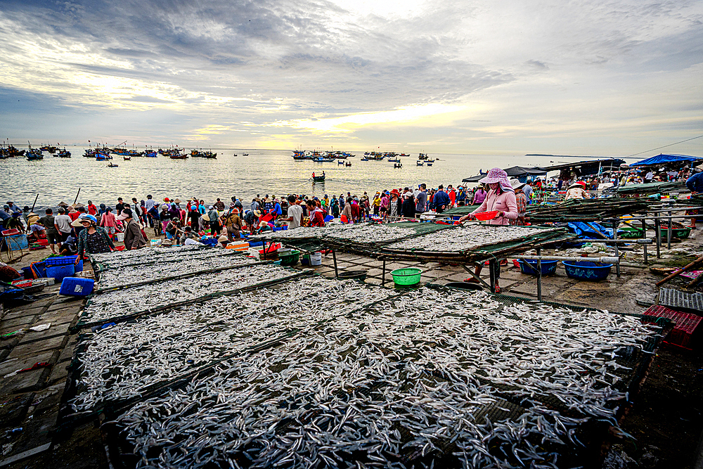 Fresh fish Tam Tien beach, Quang Nam Province, Central Vietnam