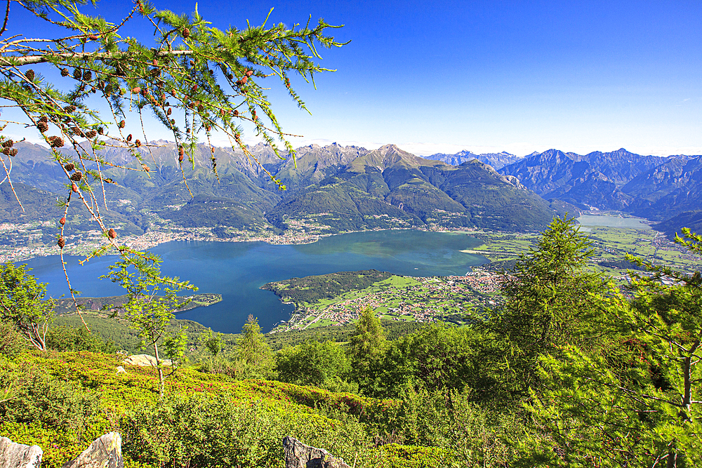 Lower Valtellina and blue Lake Como view from the green meadows of Monte Legnoncino, Lombardy, Italy