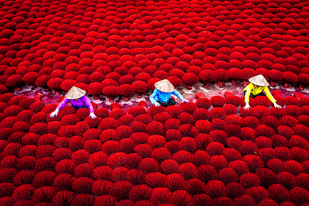 Women arranging incense sticks to dry, Hanoi, Vietnam