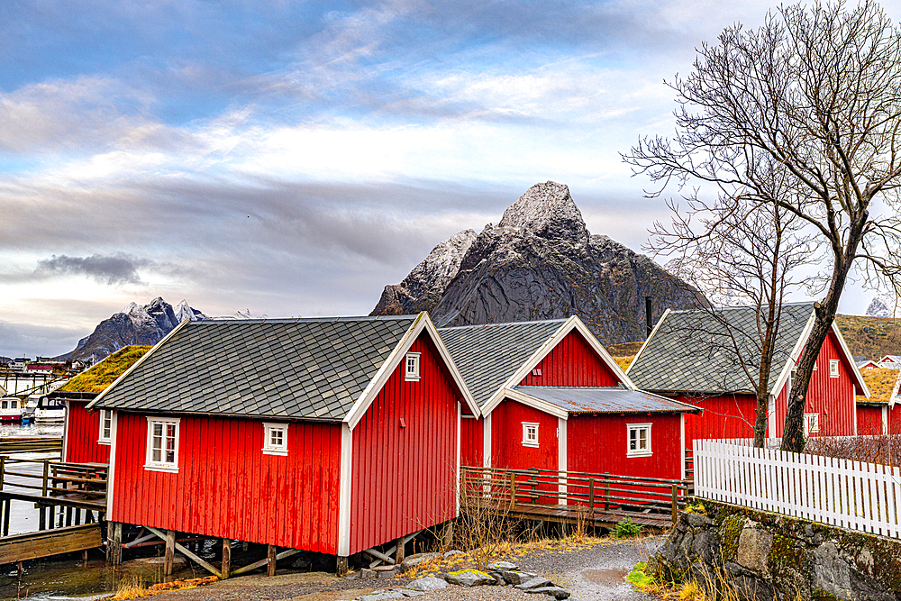 Traditional rorbu cabins in the fishing village of Reine, Lofoten Islands, Norway