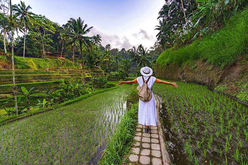 Cheerful woman with arms outstretched standing on footpath amidst paddy fields, Ubud, Bali, Indonesia