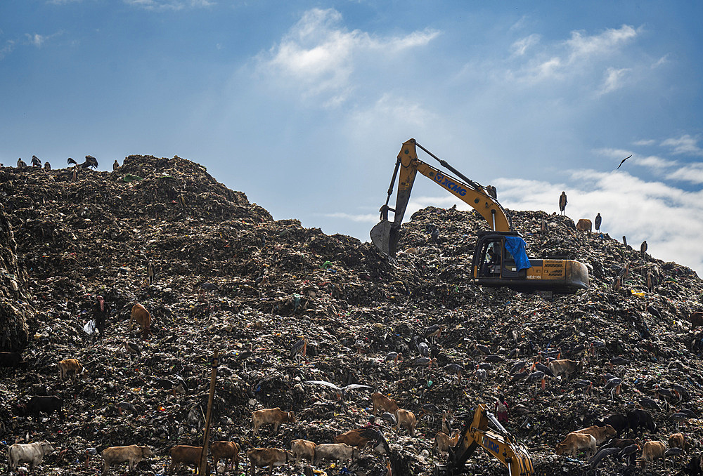 Municipality excavator working at a garbage dumping site as Greater adjutant storks flying, on May 27, 2025 in Guwahati, India.