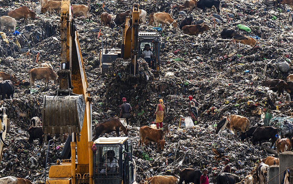 Municipality excavators working at a garbage dumping site as Greater adjutant storks flying, on May 27, 2025 in Guwahati, India.