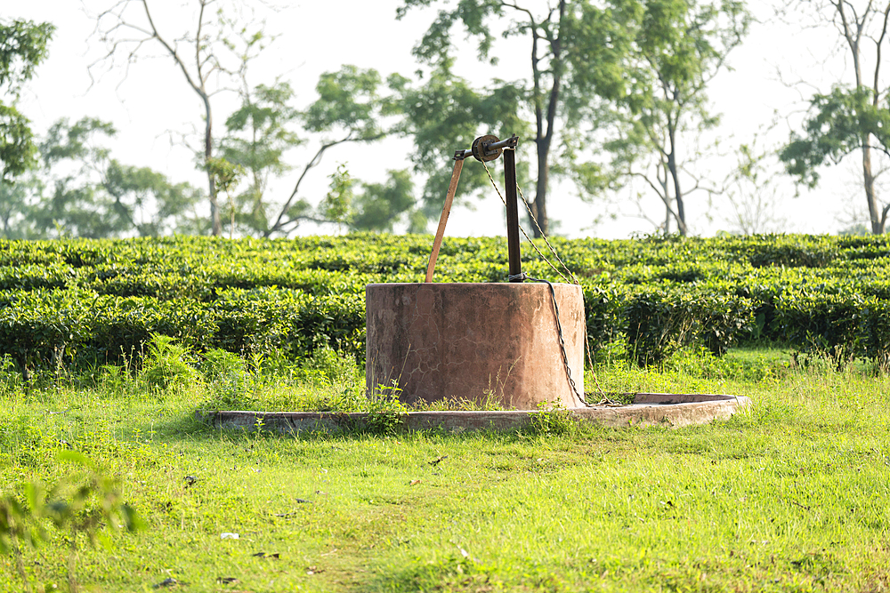 A well in a tea estate
