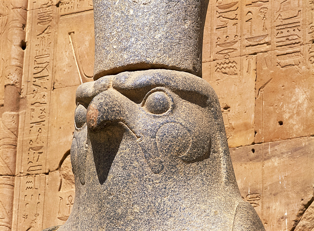 Close-up of the statue of Horus (the falcon god), at the Temple of Horus, Edfu, Egypt, North Africa, Africa