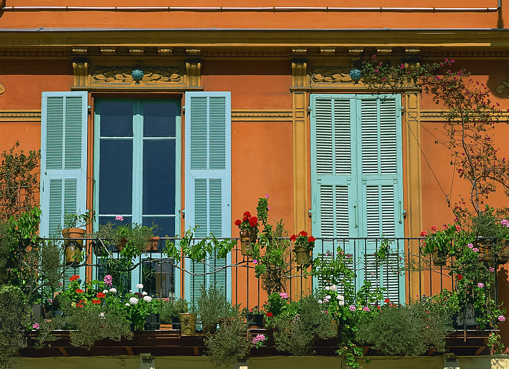 Flowers on a balcony in front of windows with turquoise shutters in Nice, Cote d'Azur, Provence, French Riviera, France, Europe