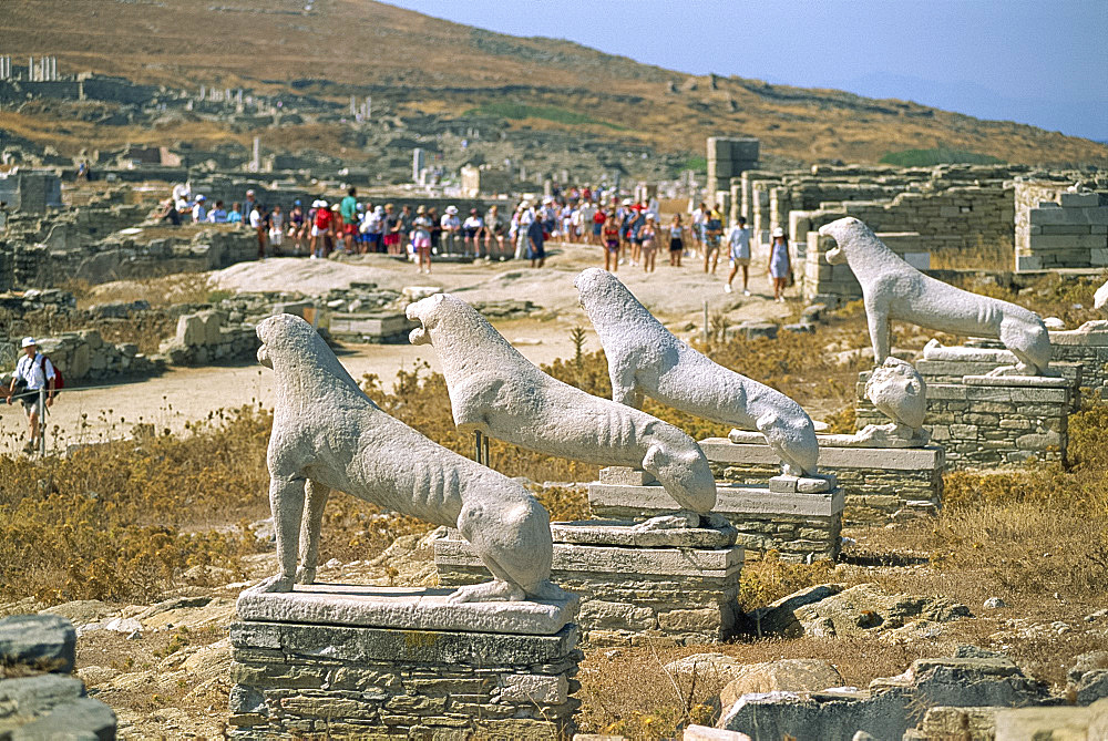 The Terrace of the Lions, with crowds of tourists behind, Delos, UNESCO World Heritage Site, Cyclades Islands, Greek Islands, Greece, Europe