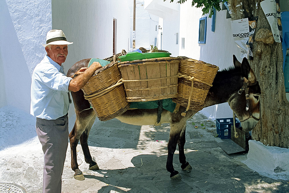 Local man loading baskets onto donkey, Mykonos, Cyclades Islands, Greek Islands, Greece, Europe