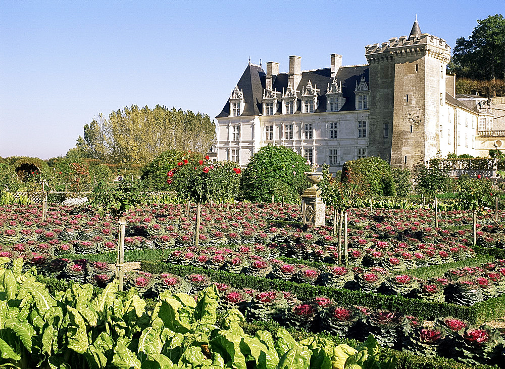 Chateau and gardens, Villandry, Touraine, Centre, France, Europe