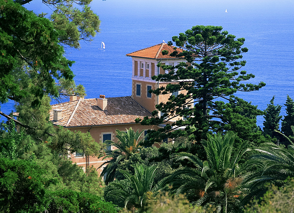 Villa Hanbury and garden, Liguria, Italy, Europe