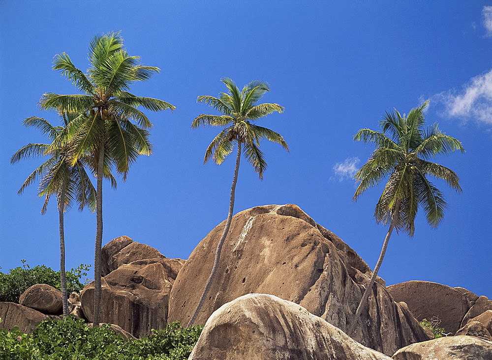 Boulders and palm trees, The Baths, Virgin Gorda, British Virgin Islands, West Indies, Central America