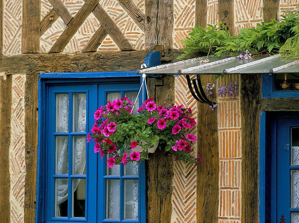 Hanging basket of petunias on traditional brick and timber house, Normandy, France, Europe