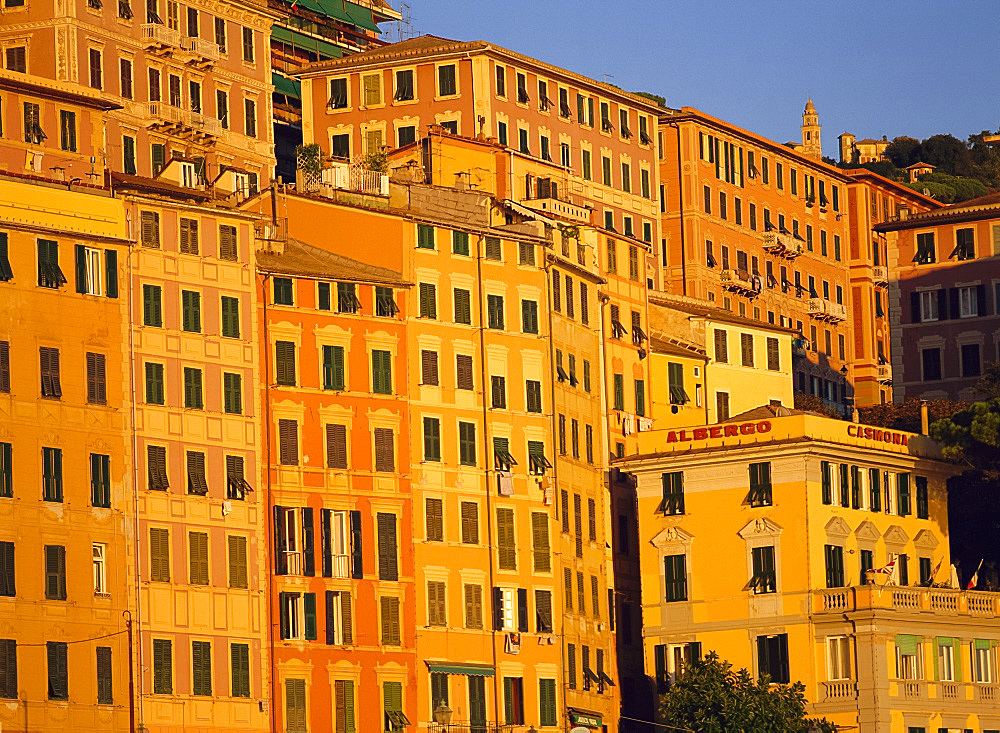 Colourful old buildings on the seafront at Camogli, Liguria, Italy