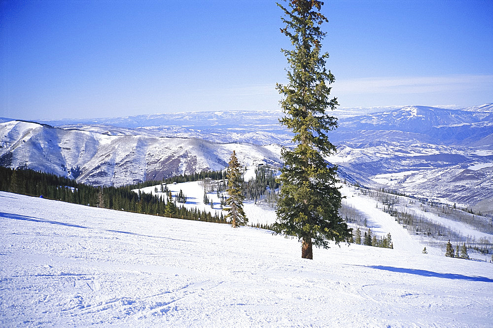 Snowmass Ski Area near Aspen, Colorado, USA