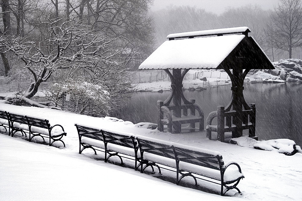 A view of Central Park including benches and a lakeside shelter during a snowstorm, New York City, USA, North America