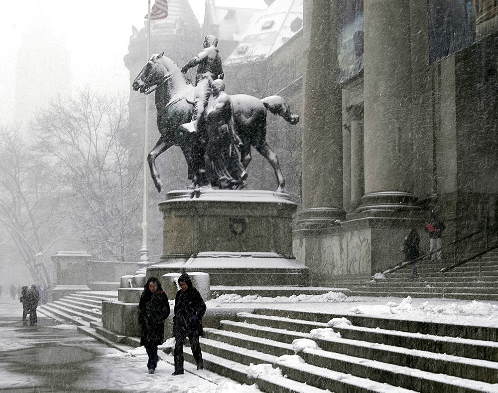 People on the steps of the Museum of Natural History during a snow storm, New York City, USA, North America