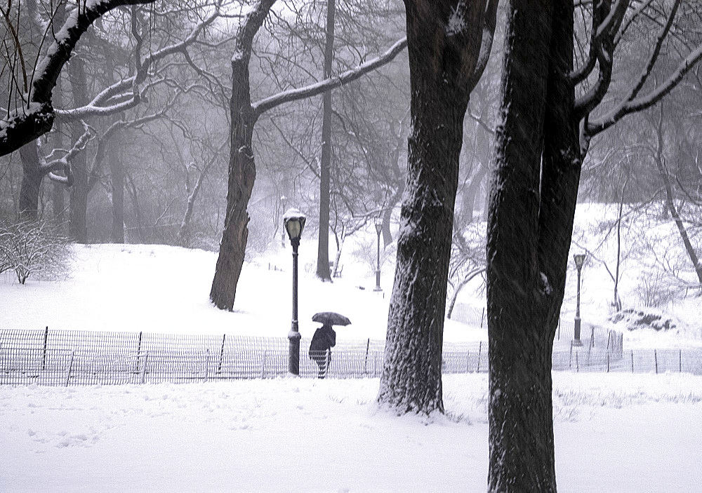 A view of Central Park including benches and a lakeside shelter during a snowstorm, New York City, USA