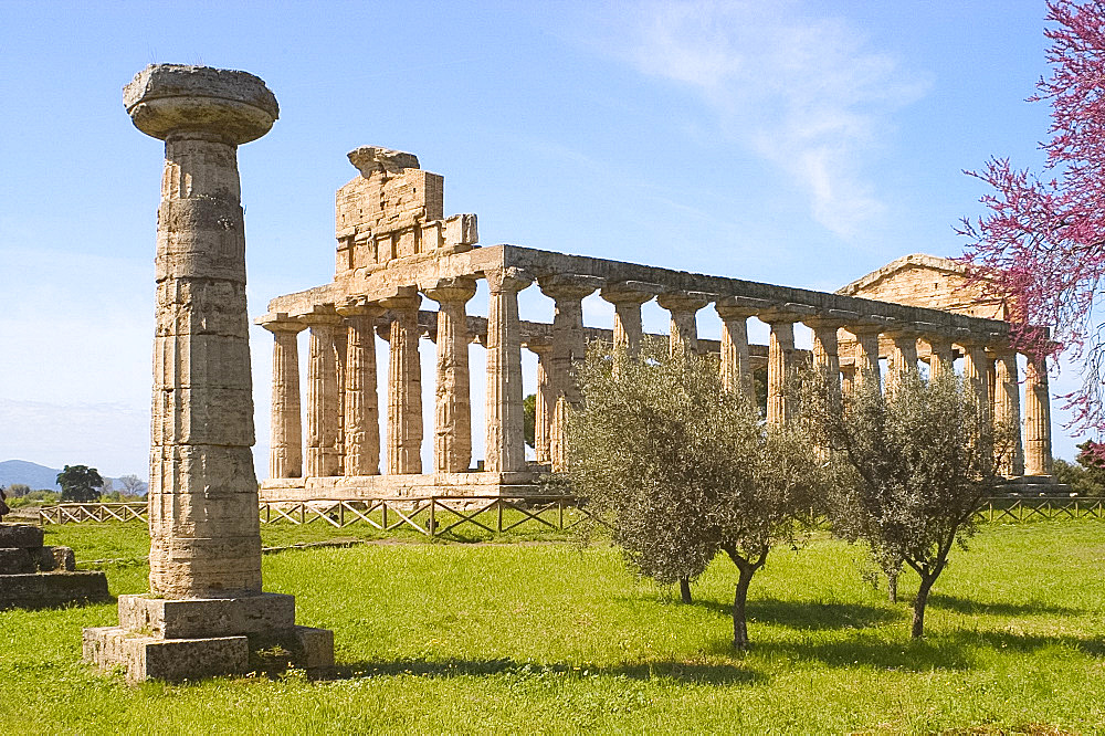 The Temple of Ceres at The Temples Museum, Paestum, Campania, Italy, Mediterranean, Europe