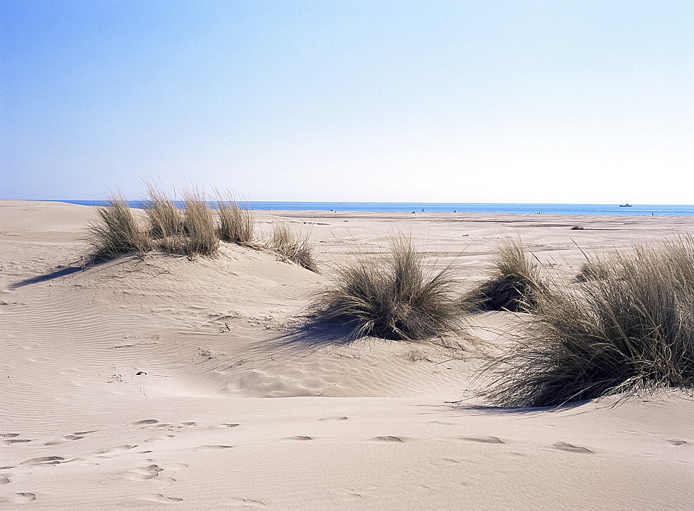 Sand dunes at Plage de l'Espiette, Bouches-du-Rhone, Provence, France, Europe