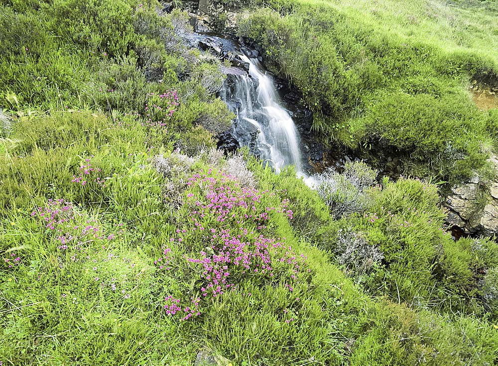 Waterfall and heather on a hillside, Isle of Skye, Inner Hebrides, Highland region, Scotland, United Kingdom, Europe