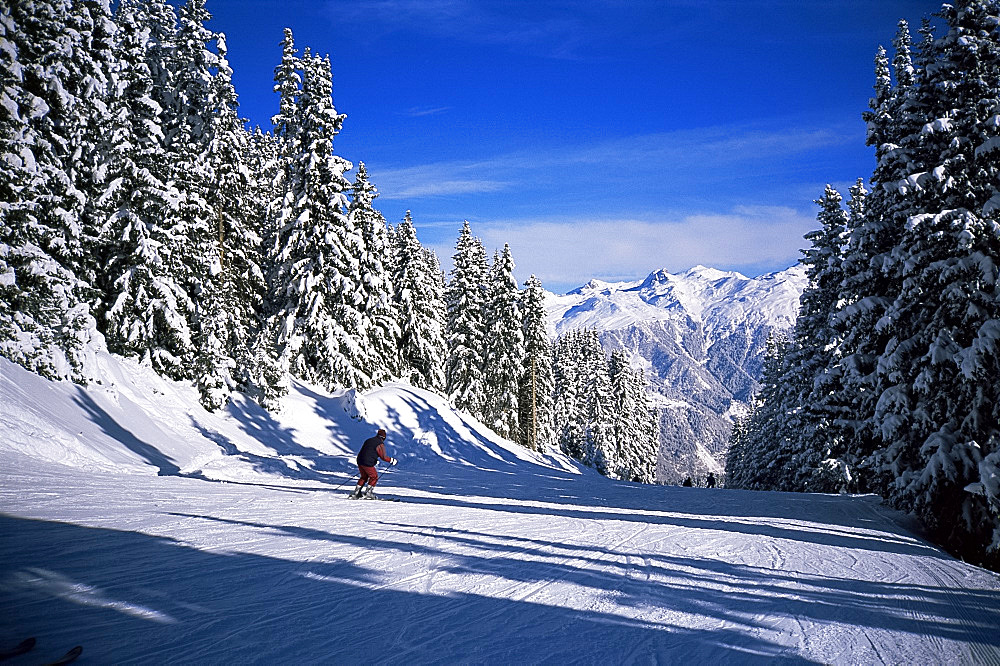 Skier on piste, Courchevel, Trois Vallees, Haute-Savoie, French Alps, France, Europe