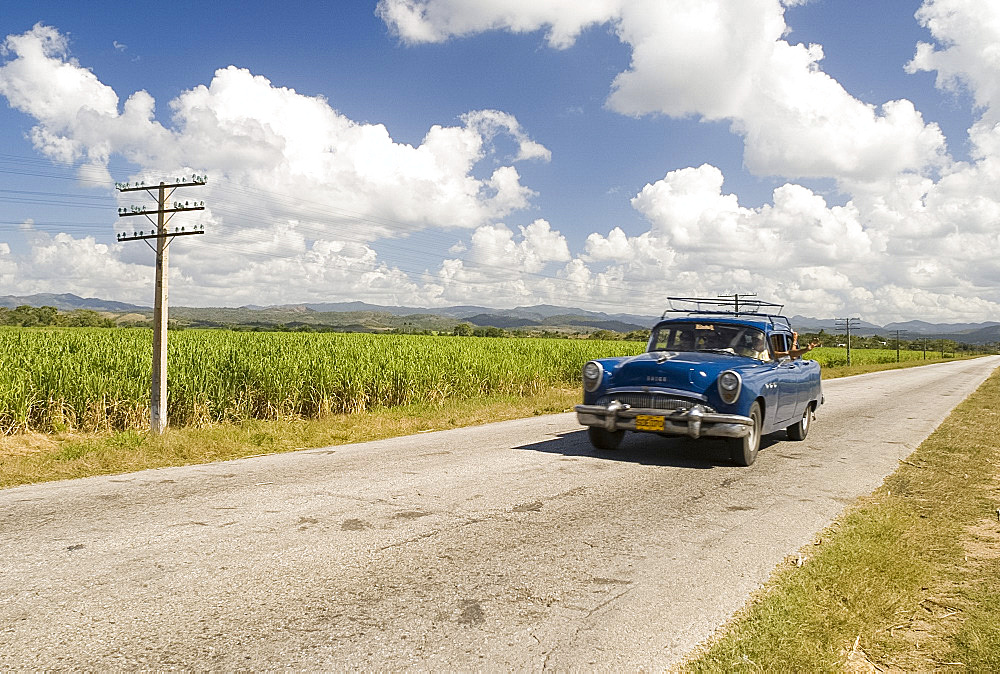 A vintage 1950's American Buick driving along a road through fields of sugar cane in Sancti Spiritus, Cuba, West Indies, Central America