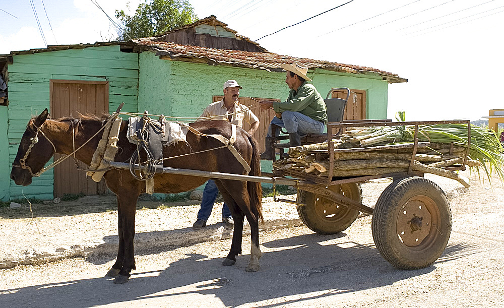 Two men and a horsecart carrying sugar cane in the Valle de Ingenios, central Cuba, West Indies, Central America