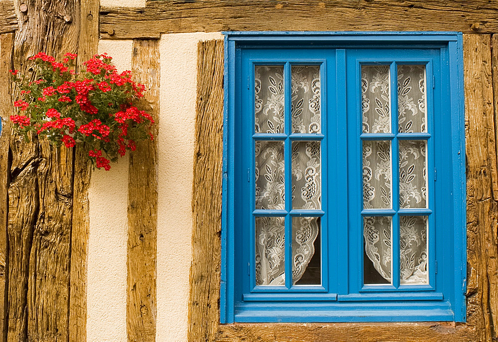 Flowers around a blue window in a traditional half timbered house, Normandy, France, Europe