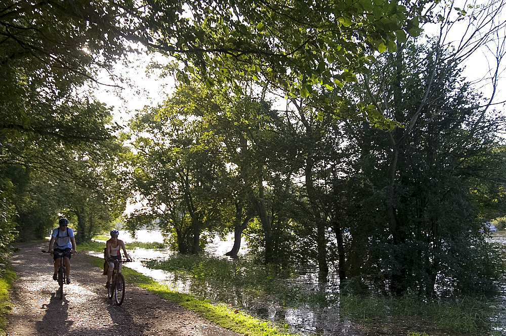 Cyclists on the towpath of the River Thames near Richmond-upon-Thames at high tide, Surrey, England, United Kingdom, Europe