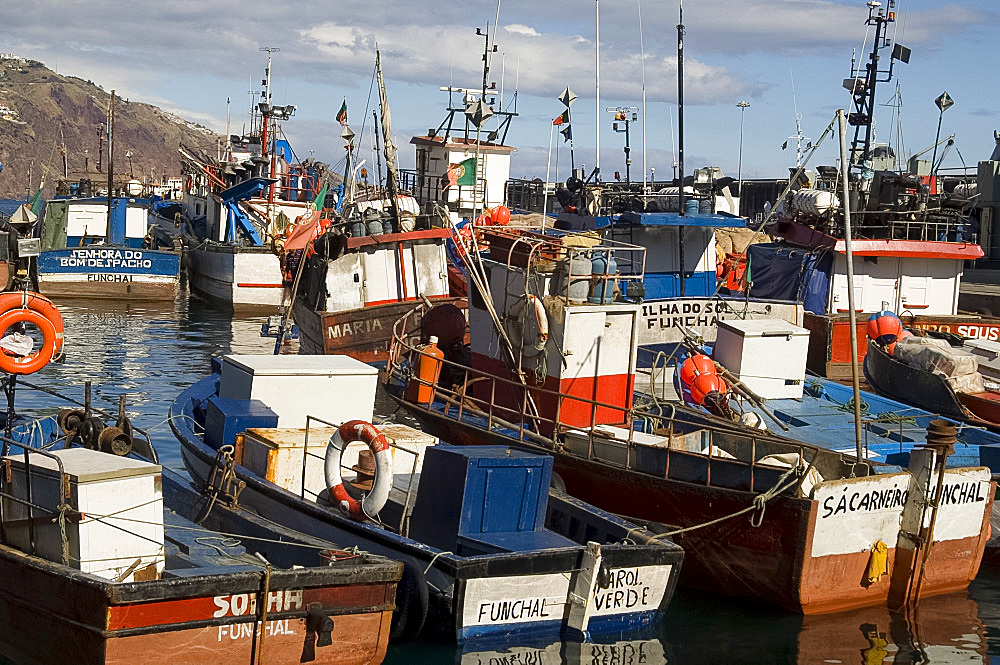 Fishing boats in the harbour in Funchal, Madeira, Portugal, Atlantic, Europe