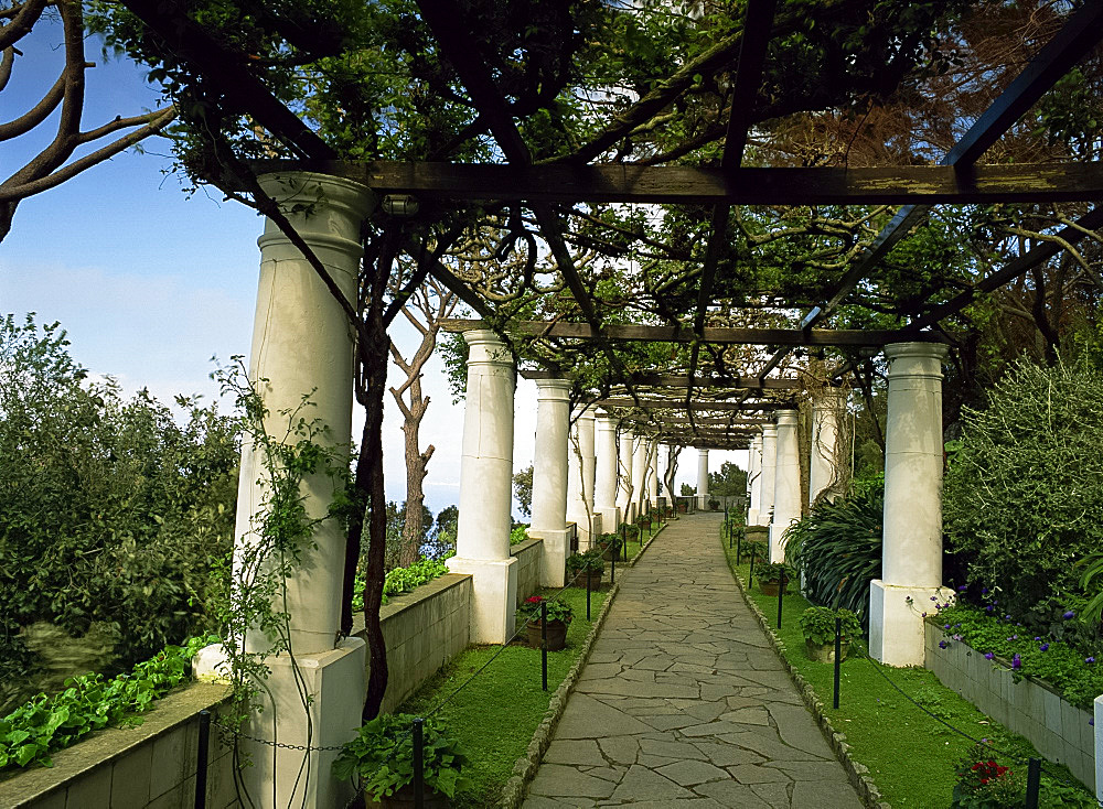 Garden at Axel Munthe's House, Isle of Capri, Italy, Europe