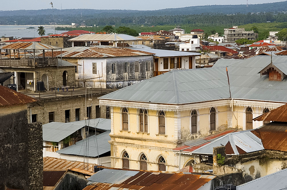 A view of the Stone Town skyline, UNESCO World Heritage Site, Zanzibar, Tanzania, East Africa, Africa