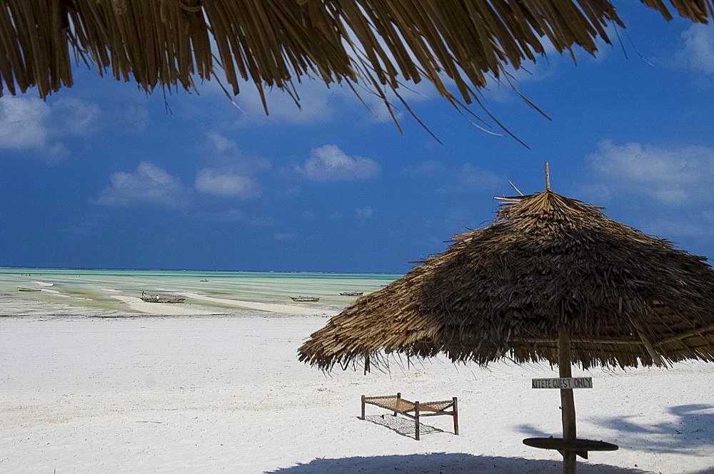 Thatched beach umbrellas and traditional sunbeds made from coconut wood on the beach at Paje, Zanzibar, Tanzania, East Africa, Africa